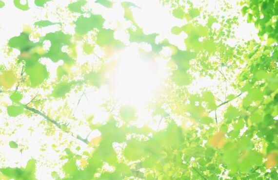 企業のSDGs推進・取り組みの基礎から具体策の支援がお客様にご好評